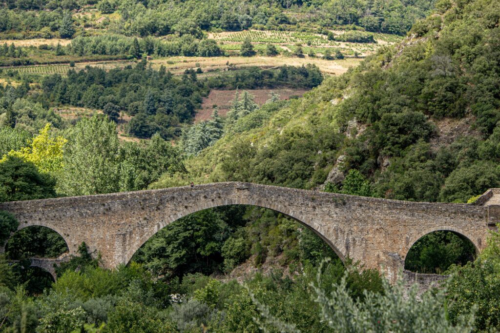 Languedoc Wines Brings Better Dinner Pairings