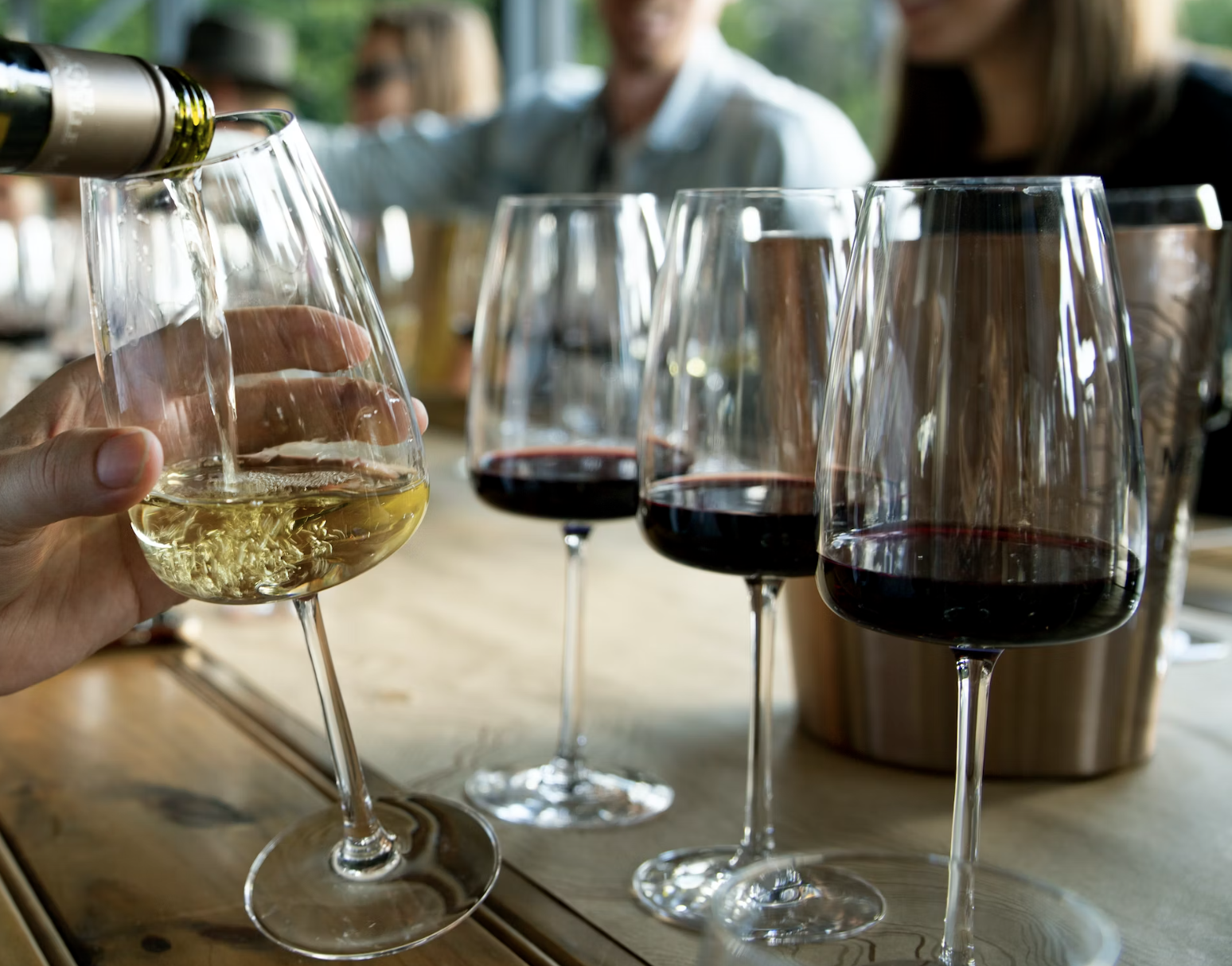 Oregon’s Willamette Valley Reveals Intense, Complex Flavor with Eila Wines - Wine Review